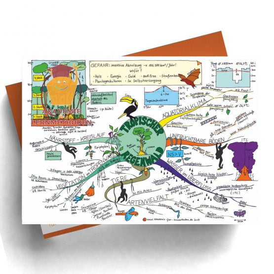 Mindmap Der Tropische Regenwald