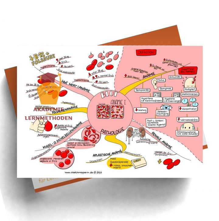 Mindmap zum Thema Blut Pathologie Anämie 1 für den med. Heilpraktiker