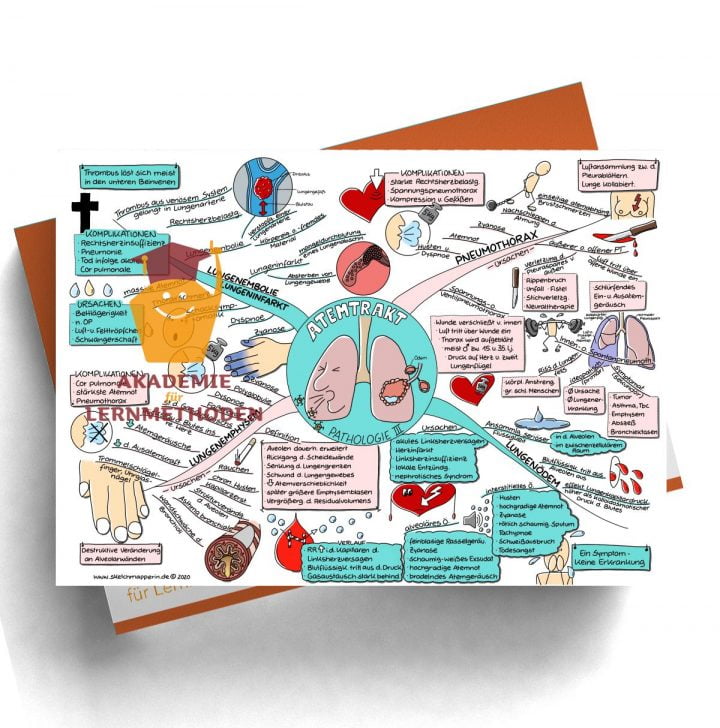 Mindmap für den medizinischen Heilpraktiker zum Thema Atemtrakt Pathologie III