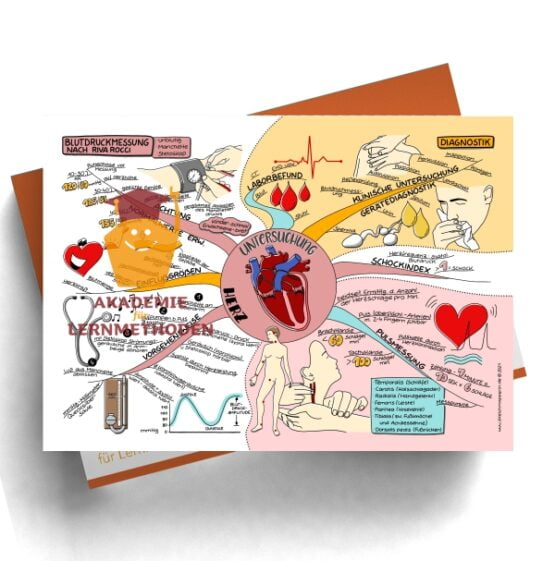 Mindmap zum Thema HP med. Untersuchung Herz